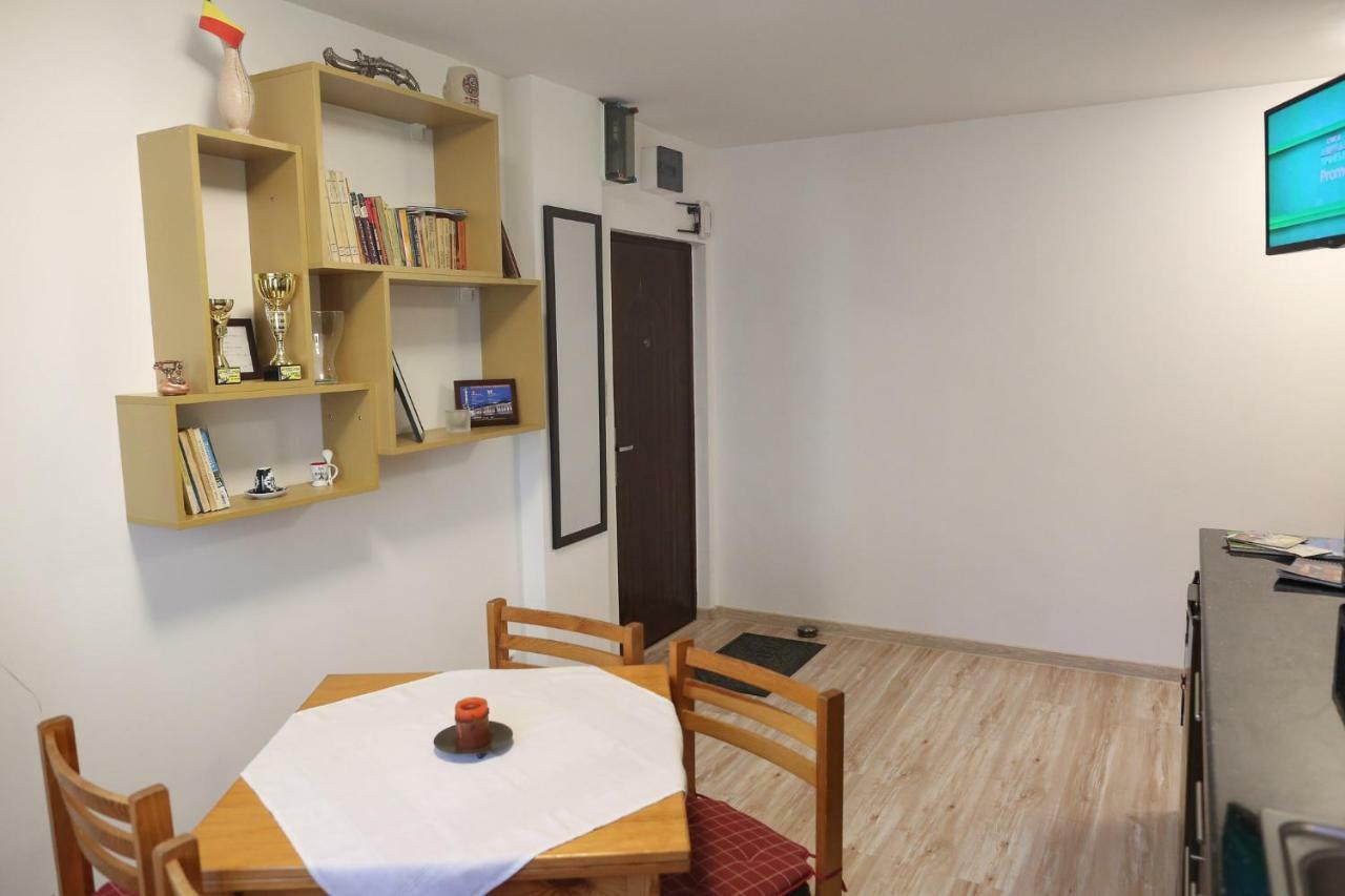 Central Place Apartment Timisoara Exterior photo